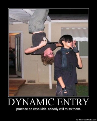 dynamic-entry.jpg