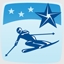 Slalom Star - Win a gold at slalom in a single player game.