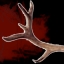 Big Game Hunter - Get up close and personal with the antler