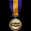 Air Force Cross: Campaign Achievement