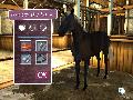 My Horse & Me 2 screenshot