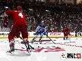 NHL 13 screenshot