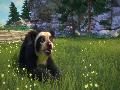 Kinectimals: Now With Bears Screenshots for Xbox 360 - Kinectimals: Now With Bears Xbox 360 Video Game Screenshots - Kinectimals: Now With Bears Xbox360 Game Screenshots