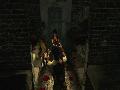 Resident Evil 4 screenshot