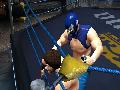 Lucha Libre AAA Heroes of the Ring screenshot