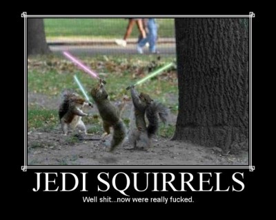 jedi squirrels.jpg