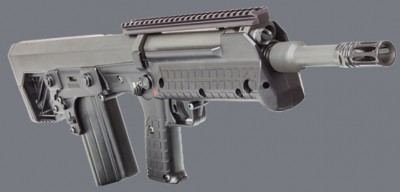 pic1.jpg