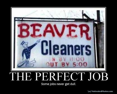 theperfectjob.jpg