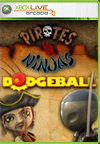 Pirates vs. Ninjas Dodgeball