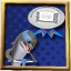 Dolphin Trainer Achievement