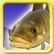 Caught Goldie - Caught Lake Lauri's Boss Fish