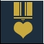 The Veteran Achievement