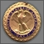 Navy Distinguished Service Medal Achievement
