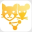 Cat and Mouse Virus Achievement