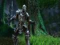 Kingdoms of Amalur: Reckoning screenshot