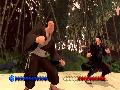 Karateka screenshot