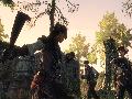 Assassin's Creed Liberation HD screenshot #29371