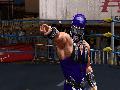 Lucha Libre AAA Heroes of the Ring screenshot #12820