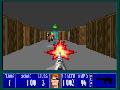 Wolfenstein 3D screenshot