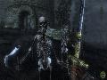 The Elder Scrolls IV: Oblivion screenshot #358