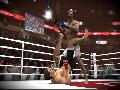 EA Sports MMA screenshot