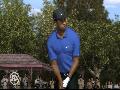 Tiger Woods PGA Tour 08 screenshot #3520