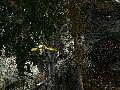 Man vs. Wild screenshot