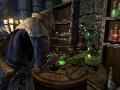 The Elder Scrolls V: Skyrim screenshot #20371