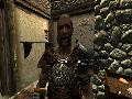 The Elder Scrolls V: Skyrim screenshot #24842