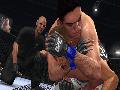 UFC 2010 Undisputed screenshot