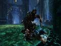 Kingdoms of Amalur: Reckoning screenshot