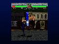Virtua Fighter 2 screenshot #26216