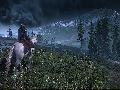 The Witcher 3: Wild Hunt screenshot #29654