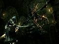 Dark Souls screenshot