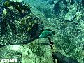 Spearfishing Screenshots for Xbox 360 - Spearfishing Xbox 360 Video Game Screenshots - Spearfishing Xbox360 Game Screenshots