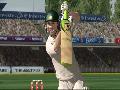 Ashes Cricket 2009 screenshot