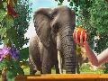 Zoo Tycoon screenshot