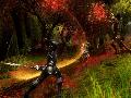 Kingdoms of Amalur: Reckoning screenshot