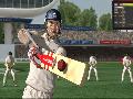 Ashes Cricket 2009 screenshot