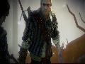 The Witcher 2 screenshot