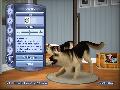 The Sims 3: Pets screenshot