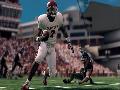 NCAA Football 11 screenshot