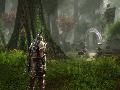 Kingdoms of Amalur: Reckoning screenshot