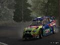 WRC 2010 screenshot