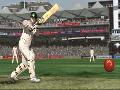 Ashes Cricket 2009 screenshot