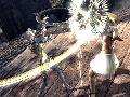 Soul Calibur V screenshot