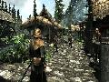 The Elder Scrolls V: Skyrim screenshot