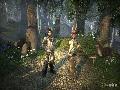 Fable II screenshot