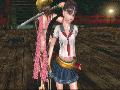 Onechanbara: Bikini Samurai Squad screenshot