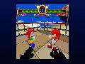 Sonic the Fighters screenshot